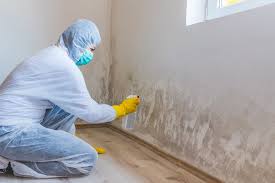 Best Mold Removal for HVAC Installations  in Lipatria, CA