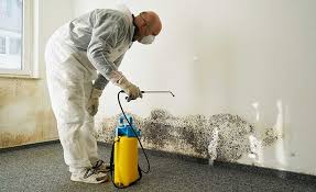 Calipatria, CA Mold Remediation Company